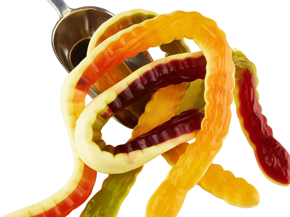 Haribo Yellow Bellies | 24 Pieces - NetCrisps